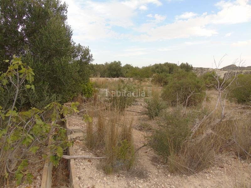 Foto 8fdf5491-a5de-42c9-8444-b6083ac0e4f8. Terreno residencial en Ulea
