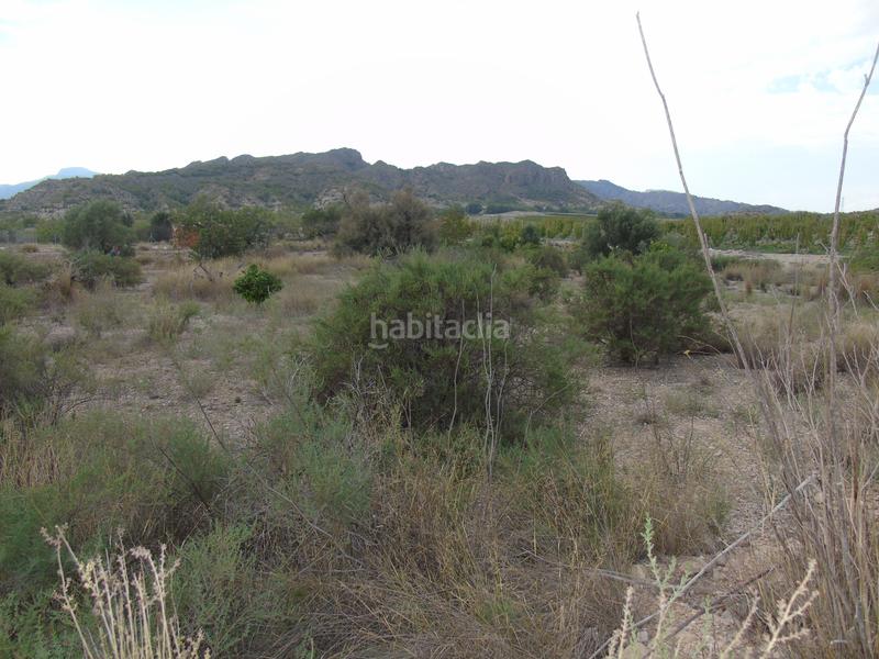 Foto ee9cf201-eb24-41aa-85b1-ce014635d0ef. Terreno residencial en Ulea