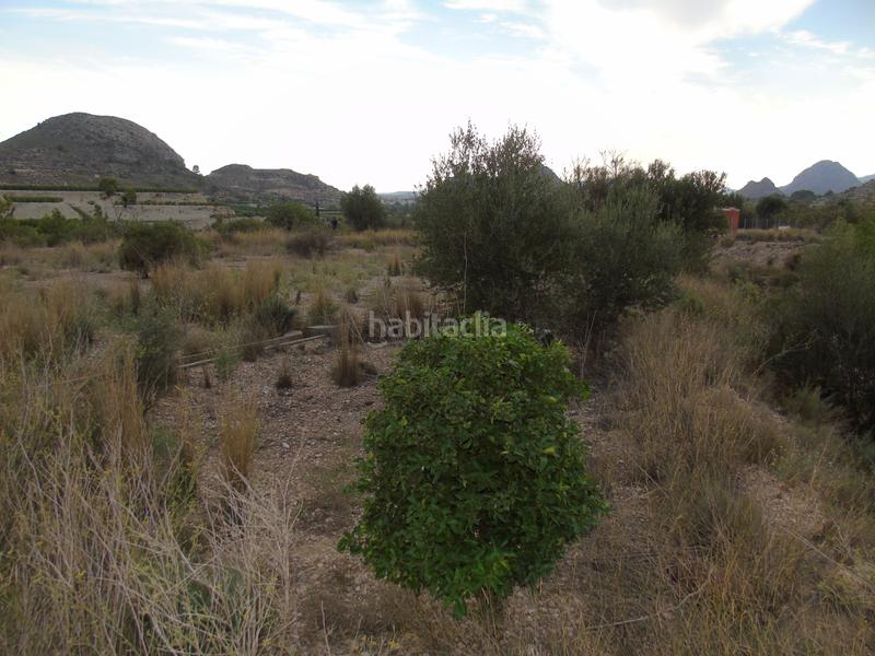 Foto ef625f4b-97ae-45ca-948e-ba65e509535f. Terreno residencial en Ulea