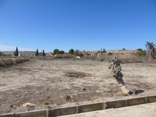 Fondo rustico in Lorquí
