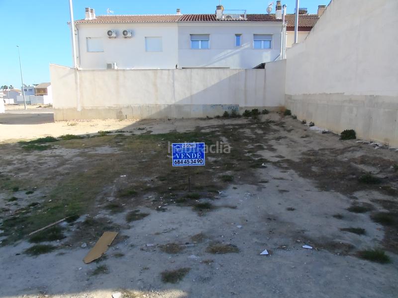 Foto e02087a6-aea2-4213-abac-c8bffd1ba6fc. Terreny residencial a Ceutí