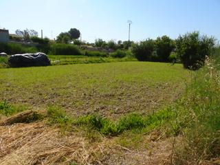 Finca rústica a Lorquí. Se venden dos  terrenos rusticos  en lorqui zona de los mateos