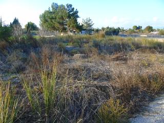 Finca rústica en Alguazas. Se vende terreno rustico zona el paraje alguazas