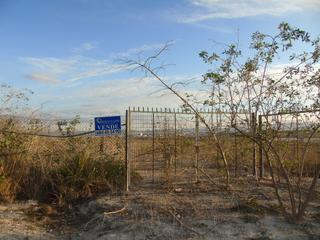Finca rústica en Alguazas. Se vende finca de 24.000 metros en alguazas