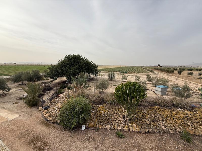 Foto 547510e7-527c-4815-9107-b73f91278ddf. Chalet in Valladolises y Lo Jurado Murcia