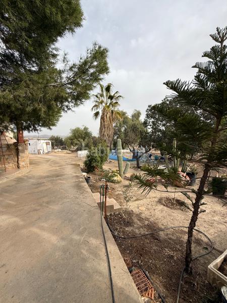 Foto 9461c24f-3b5c-4668-a7d7-25541bcf9eb4. Chalet in Valladolises y Lo Jurado Murcia