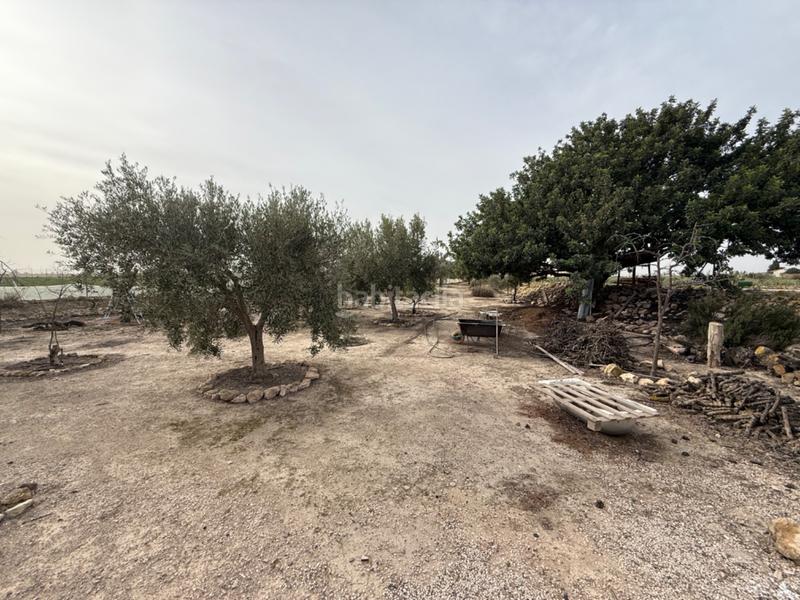 Foto d4a44872-0397-475c-a0d2-7100157dcae0. Chalet in Valladolises y Lo Jurado Murcia