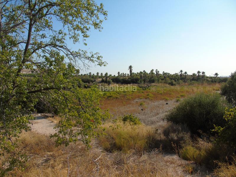 Foto 1aa604ff-0c1f-45d9-841e-44ce8eed2d34. Finca rústica a mu-531 192 a Alguazas