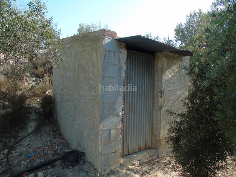Foto 574ee05b-4766-4d72-a16c-e7008144029a. Finca rústica a mu-531 192 a Alguazas