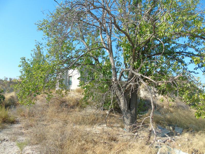 Foto 6ca6d309-0016-4c86-a93f-3639e3285e1f. Finca rústica a mu-531 192 a Alguazas