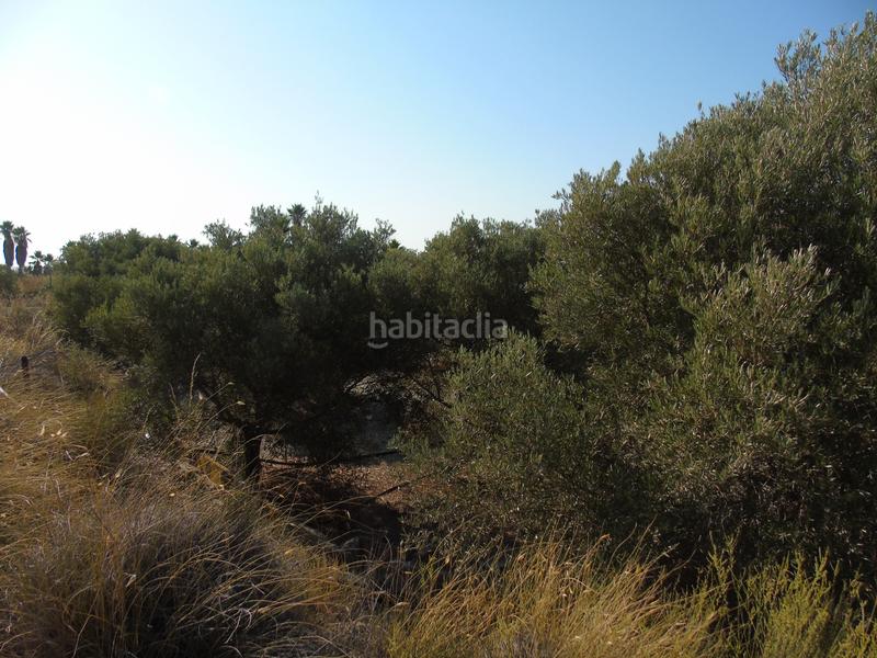 Foto 93c6e042-3f8c-435c-b253-5a92679abd3e. Finca rústica a mu-531 192 a Alguazas