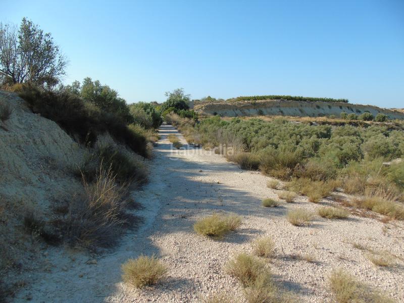 Foto bacb84bf-bf42-4426-9277-eda2d53632a0. Finca rústica a mu-531 192 a Alguazas