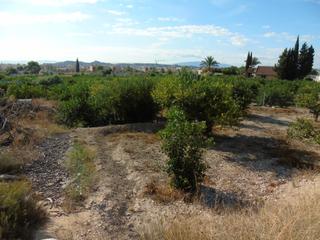 Finca rústica  Calle vista alegre 40a. Se vende terreno rustico en la zona del cabezo de vista alegre d