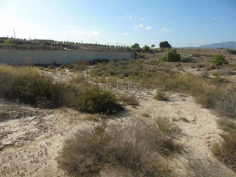 Foto 02bbf522-899e-4218-bd14-87721c0b492d. Rural plot in Alguazas