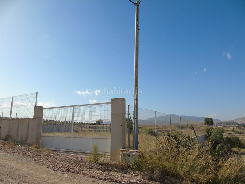 Foto 47a65b71-2800-42a2-bc66-2dd75b9684e7. Rural plot in Alguazas