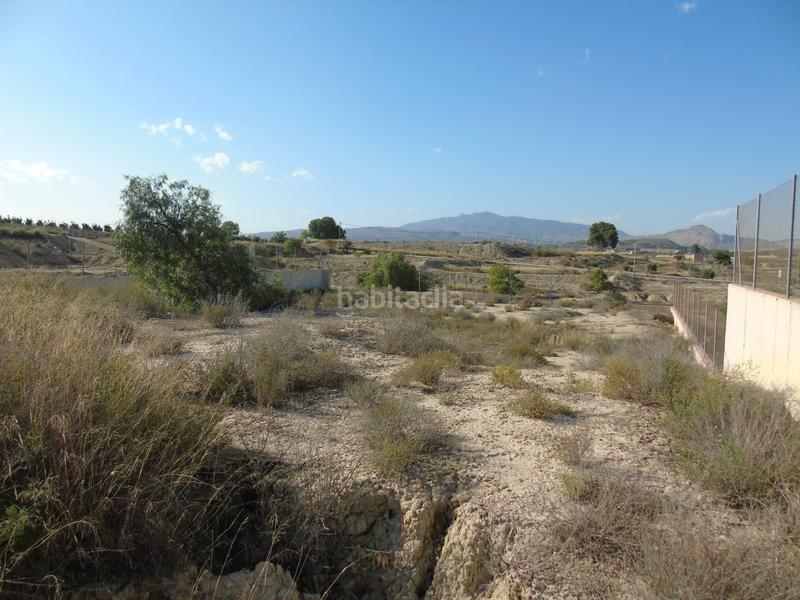 Foto b50fefb8-e258-4766-88ae-1a92eec75667. Rural plot in Alguazas