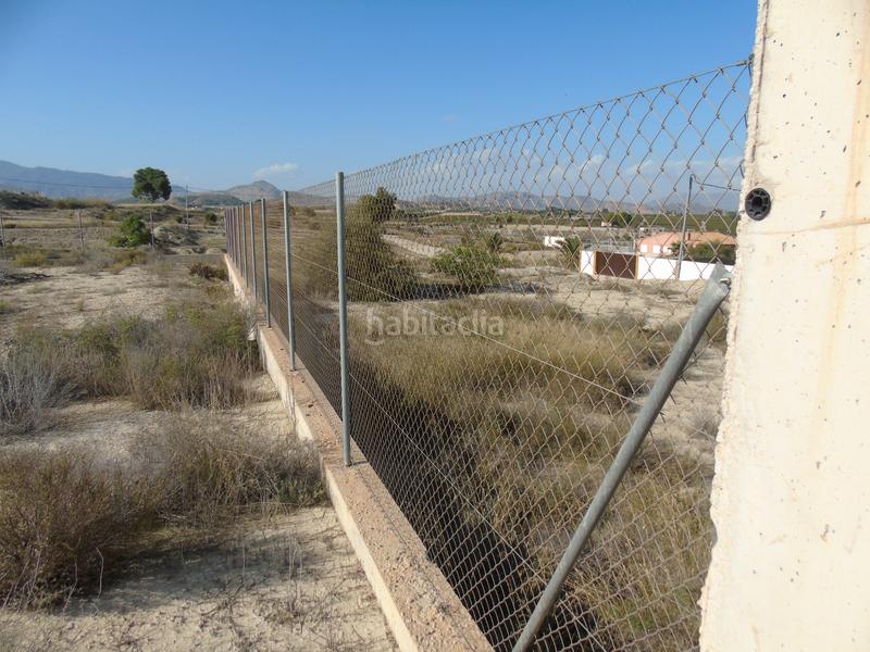 Foto dffd0143-fc6f-4dc4-afaf-a9df4f5b37a6. Rural plot in Alguazas