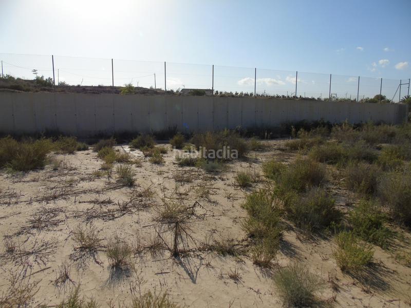 Foto eedbc898-ef59-45e6-91f3-97d0edd02192. Rural plot in Alguazas