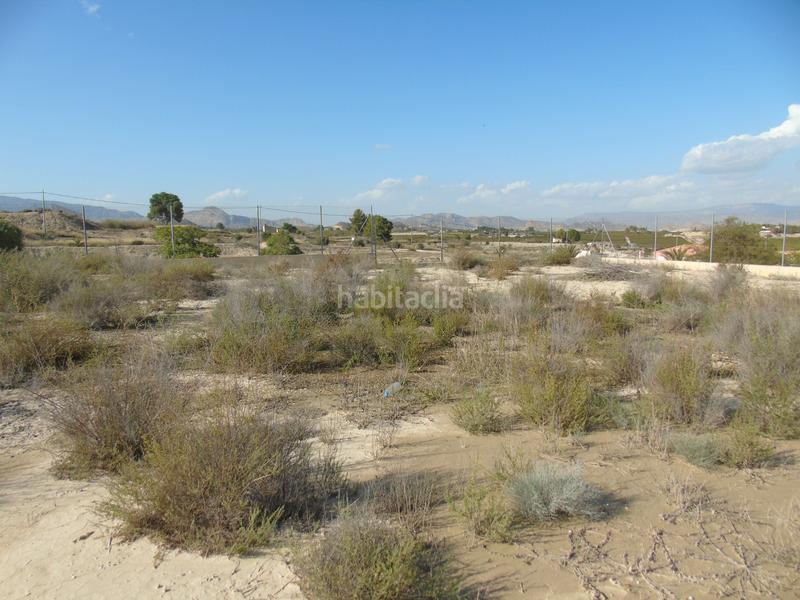 Foto f533b94e-4286-4131-b59a-2cbc899cef52. Rural plot in Alguazas