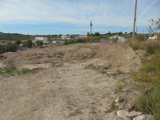 Finca rústica  Camino de la almazara 251. Se vende terreno rustico en camino de la almazara en termino mun