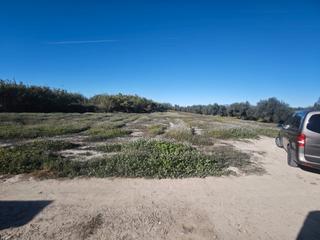 Finca rústica a Diseminado Cr Alcantarilla 115