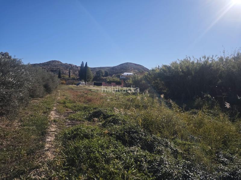 Foto 6021a058-e2d2-4a9b-b715-fce13edee629. Fondo rustico in diseminado cr alcantarilla 115 in Molina de Segura