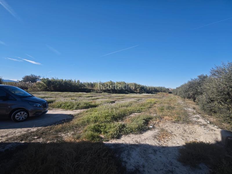 Foto 9b3a880c-965a-47c8-a5ea-dbced78df225. Fondo rustico in diseminado cr alcantarilla 115 in Molina de Segura