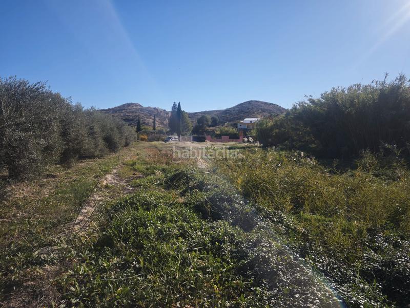 Foto bda7a22d-c62c-4080-b763-c2b875a35747. Fondo rustico in diseminado cr alcantarilla 115 in Molina de Segura