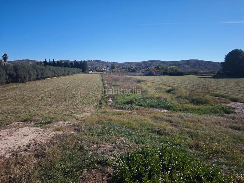 Foto 1c1b74a7-435a-4140-8b46-819ae73e7b5f. Propriété dans camino hondo 102-94 dans Barriomar-La Purísima Murcia