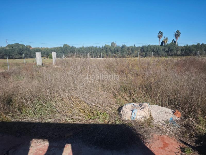 Foto 9fc20136-6b37-4fa3-91d0-ec7ebdb807df. Propriété dans camino hondo 102-94 dans Barriomar-La Purísima Murcia