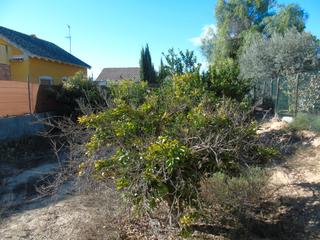 Terrain résidentiel à Camino sierra espuña 6. Se vende parcela en las lentiscosas