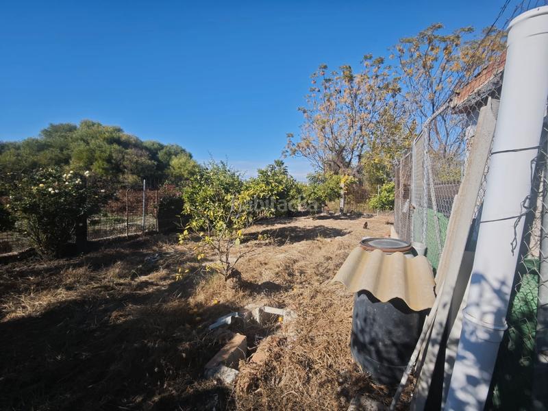 Foto 68ced20b-1685-4166-afe5-ac61649f7007. Landgut in camino regueron 3 in El Palmar Murcia