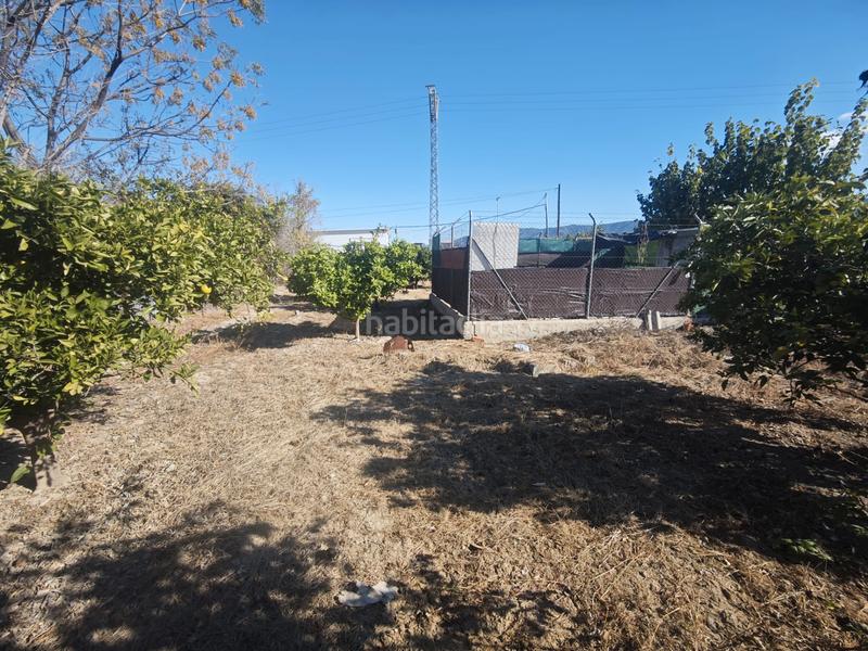 Foto 03dd7814-842e-45c4-a23c-08131d15ea36. Propriété dans camino regueron 3 dans El Palmar Murcia