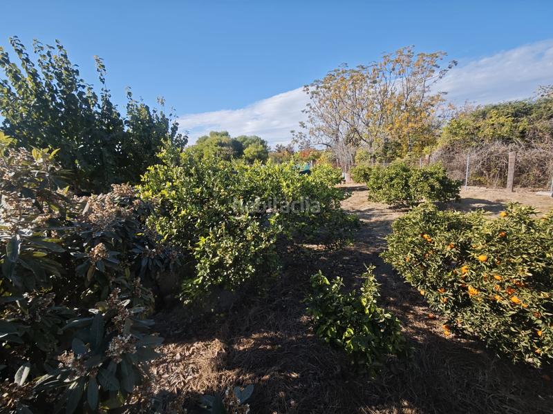 Foto 3185267f-ef70-472c-875d-82edfe9db9c9. Propriété dans camino regueron 3 dans El Palmar Murcia