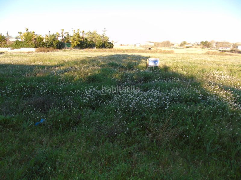 Foto 04669c92-bf10-49bc-8434-f3211578b634. Finca rústica a Torres de Cotillas (Las)