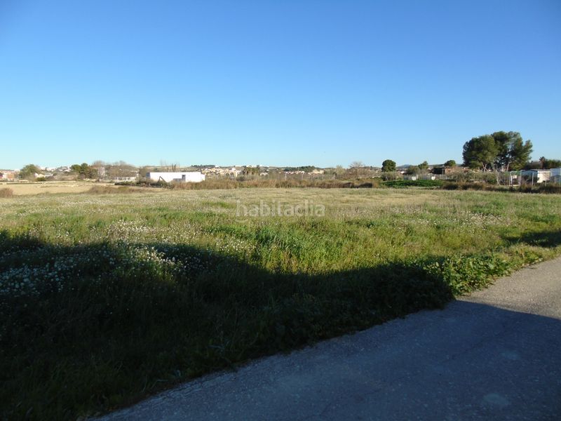 Foto 87412950-5220-44f9-8a2f-b390771b3ecc. Finca rústica a Torres de Cotillas (Las)