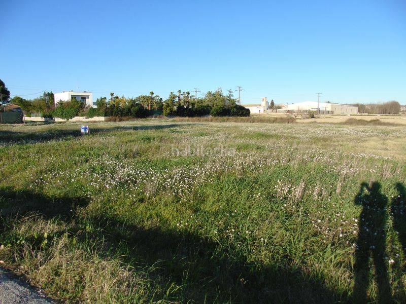 Foto c1c80700-270a-401b-ace4-fbf42de0538e. Finca rústica a Torres de Cotillas (Las)