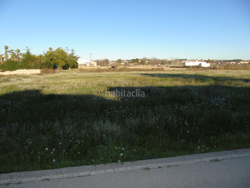 Foto e72b9fd3-1e10-4914-8656-c4c4e854a963. Finca rústica a Torres de Cotillas (Las)