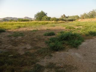 Finca rústica a Diseminado diseminados 9. Se vende terreno rustico en lorqui