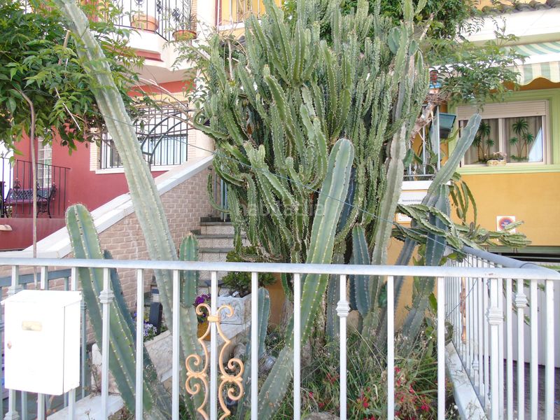 Foto 0ea8bb03-f8a0-4e67-a455-7a420a3ccf2c. Casa aparellada amb xemeneia aparcament a Ceutí