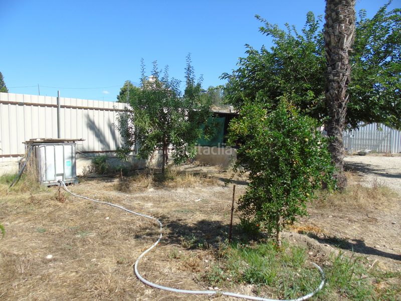 Foto 3411b684-8d4b-4829-9e9a-26e82aa53cde. Finca rústica a calle vista alegre 40a a Ceutí