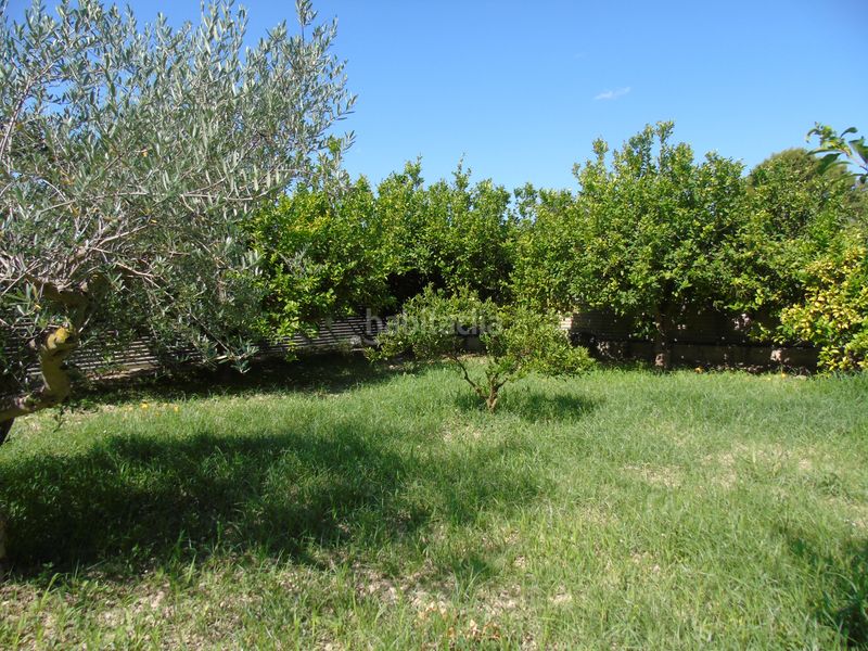 Foto af045687-8b62-4c33-ad1f-58bb0ca894ae. Finca rústica a calle vista alegre 40a a Ceutí
