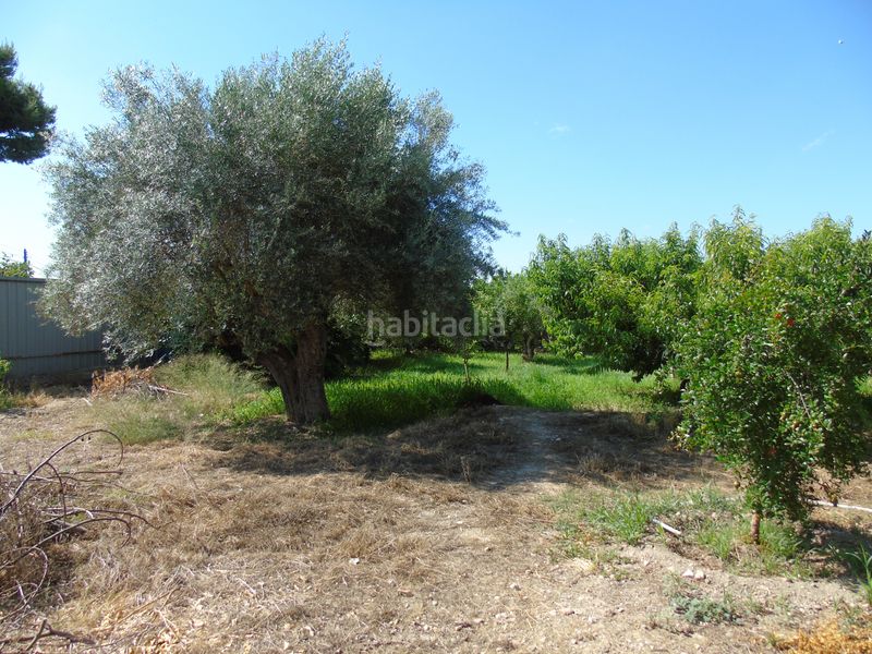 Foto fb946811-9613-4cee-99d9-d90c68bd14c0. Finca rústica a calle vista alegre 40a a Ceutí