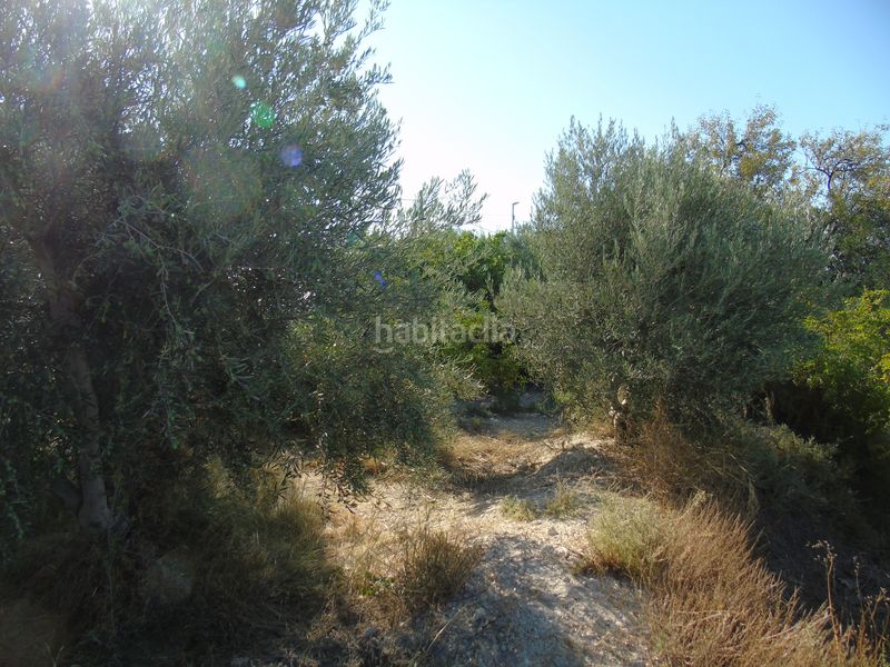 Foto 58d502a1-ed64-4294-8562-5f751c0d1c17. Finca rústica a n/a a Fortuna