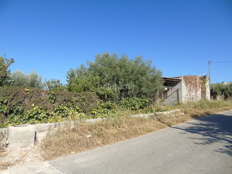 Foto bc64f041-d444-482c-9c41-cf17b27931dd. Finca rústica a n/a a Fortuna