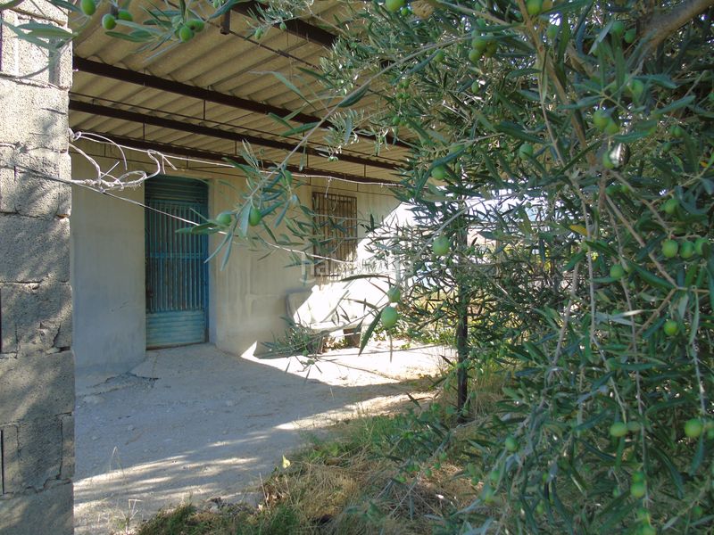 Foto c9efd776-b488-45a4-bb55-ad97223e14ab. Finca rústica a n/a a Fortuna