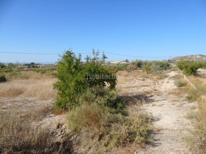 Foto d03cce3c-d486-4b63-9e0d-c050c61b3086. Finca rústica a n/a a Fortuna