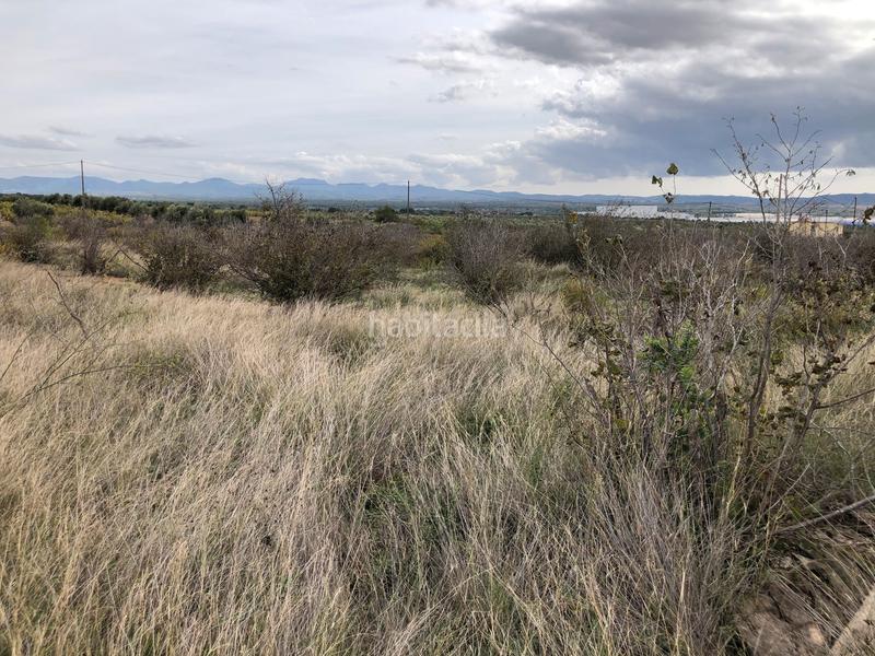 Foto 0af72202-126c-4c64-9bfe-51204aa93fd2. Landgut in partida alborada 1 in Valls