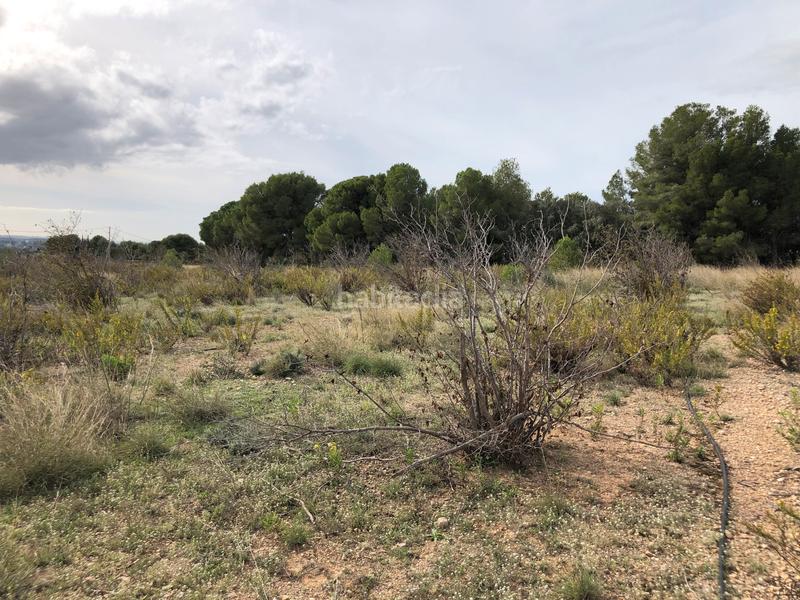 Foto 5b9d332f-b1bd-41c8-8a8d-d4dbfcdd0f62. Landgut in partida alborada 1 in Valls