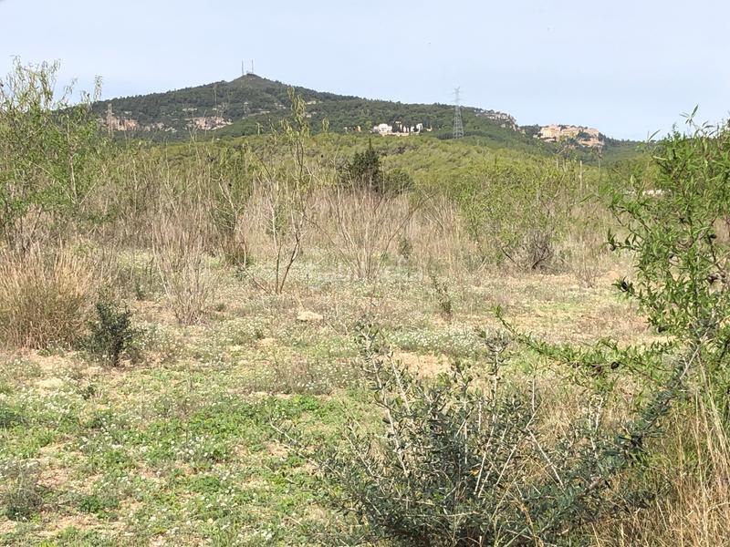 Foto 6f0ef360-9062-41e0-aa51-c1ccc1a94ab3. Landgut in partida alborada 1 in Valls